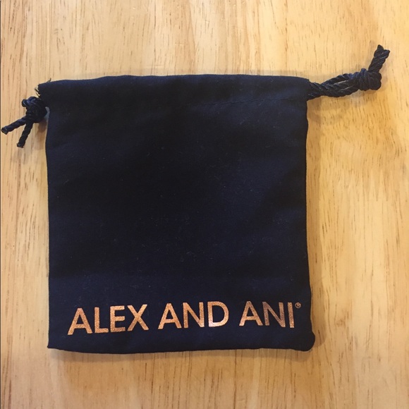 Alex and Ani Jade Beaded Bangle - Picture 4 of 4